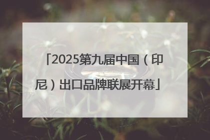 2025第九届中国（印尼）出口品牌联展开幕