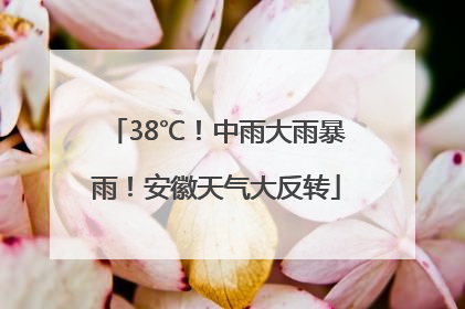 38℃！中雨大雨暴雨！安徽天气大反转