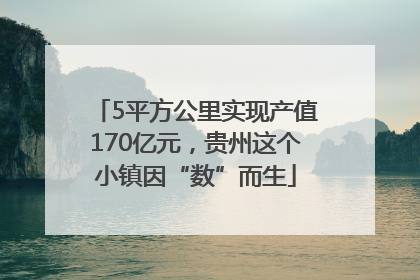 5平方公里实现产值170亿元，贵州这个小镇因“数”而生