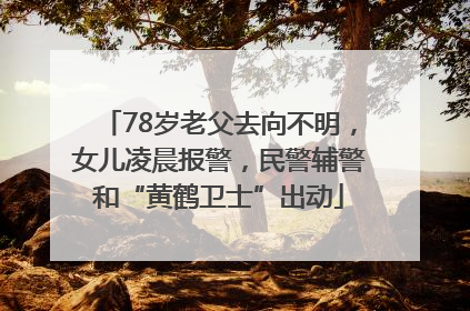 78岁老父去向不明，女儿凌晨报警，民警辅警和“黄鹤卫士”出动