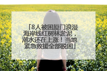 8人被困厦门浪漫海岸线红树林淤泥，潮水还在上涨！当地紧急救援全部脱困