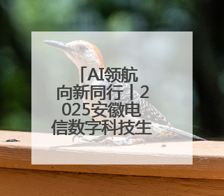 AI领航 向新同行丨2025安徽电信数字科技生态大会举行